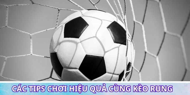 Các tips chơi hiệu quả cùng kèo rung