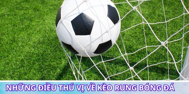 Những điều thú vị về kèo rung bóng đá